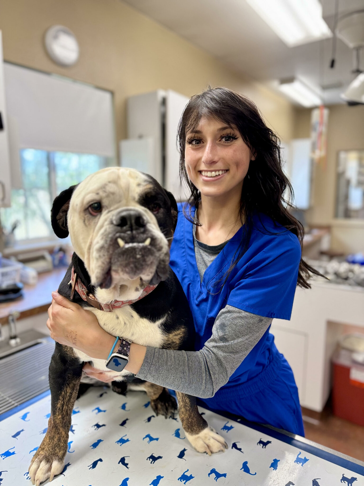 Meet Our Team | Companions Animal Hospital of Boise, ID