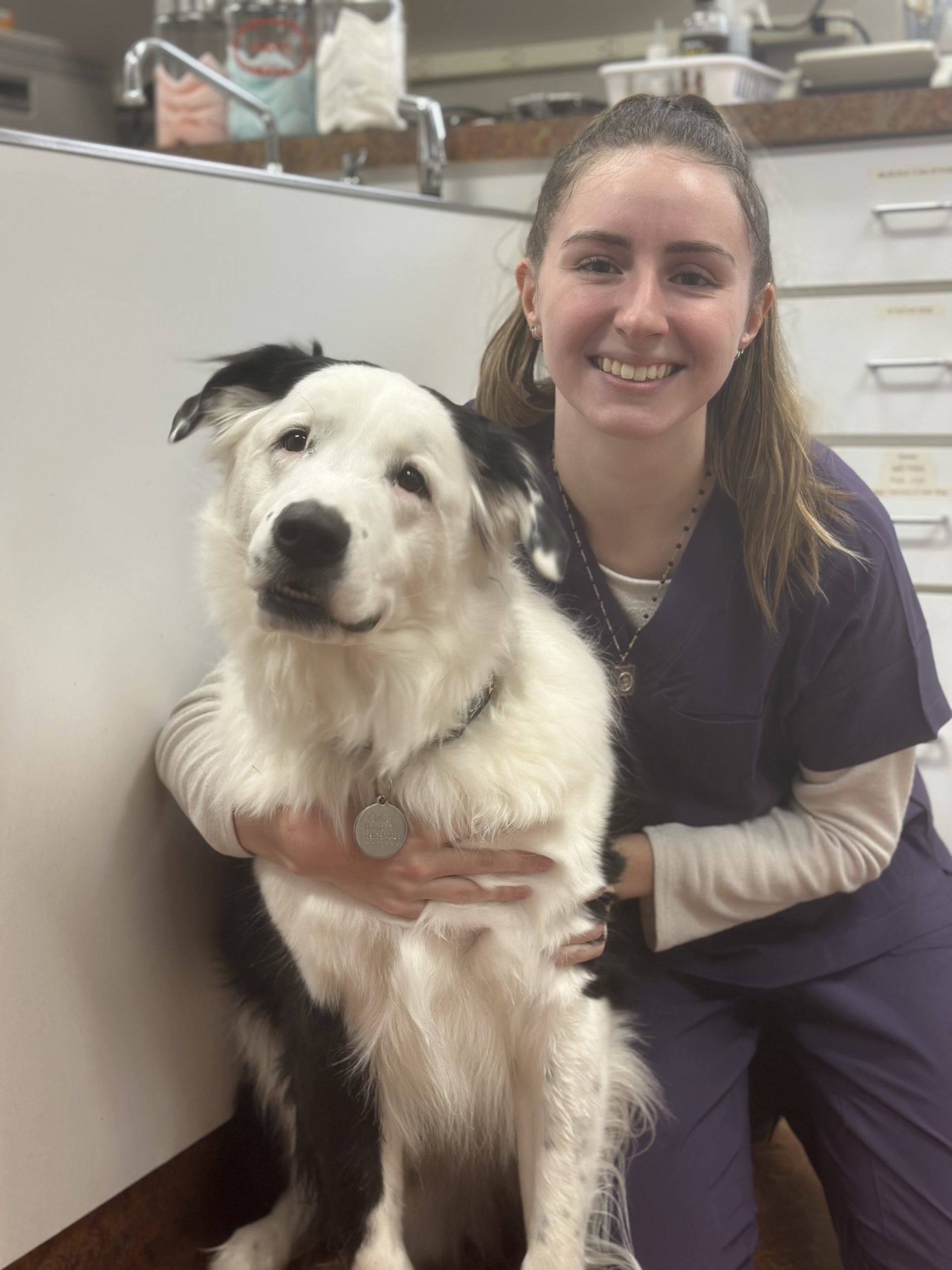 Photo of Abella, a veterinary assistant at Companions Animal Hospital
